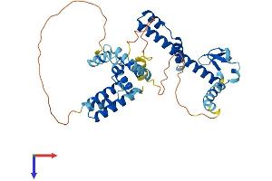 DNAJB12 Protein (AA 1-376) (His tag)