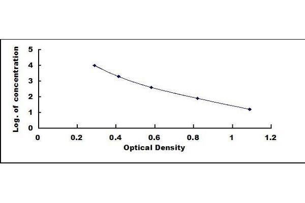 Ovalbumin ELISA Kit