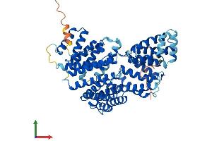 AlphaFold protein structure predicition of Mouse Recombinant Ttc22 Protein, UniprotID Q8C159