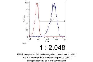 Image no. 2 for anti-ATP-Binding Cassette, Sub-Family A (ABC1), Member 7 (ABCA7) antibody (ABIN363291) (ABCA7 Antikörper)