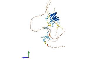 Protein Structure (PS) image for LSM11, U7 Small Nuclear RNA Associated (LSM11) (AA 1-361) protein (His tag) (ABIN7558906)