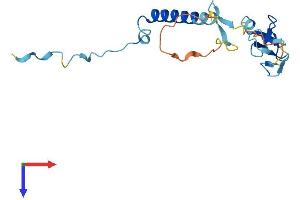SIVA1 Protein (AA 1-175) (His tag)