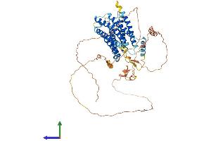 AlphaFold protein structure predicition of Human Recombinant GPR153 Protein, UniprotID Q6NV75