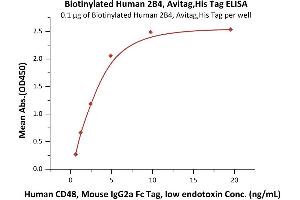 Immobilized Biotinylated Human 2B4, Avitag,His Tag (recommended for biopanning) (ABIN5674581,ABIN6253686) at 1 μg/mL (100 μL/well) on streptavidin precoated (0. (2B4 Protein (AA 22-221) (His tag,AVI tag,Biotin))