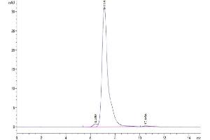 Size-exclusion chromatography-High Pressure Liquid Chromatography (SEC-HPLC) image for VEGF Receptor 2 (VEGFR2) (AA 20-764) protein (His tag) (ABIN7275831)