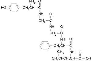 Image no. 1 for Proenkephalin (PENK) (Leu5) peptide (ABIN399895) (Proenkephalin (PENK) (Leu5) Peptid)