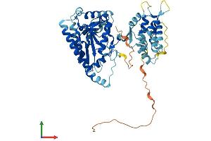 Protein Structure (PS) image for Lysophosphatidylcholine Acyltransferase 4 (LPCAT4) (AA 1-524) protein (His tag) (ABIN7564058)