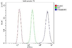 Flow Cytometry analysis of A549 cells using anti- KAP1/TRIM28 antibody (ABIN7602311).