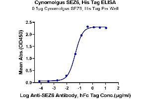 SEZ6 Protein (AA 20-927) (His tag)