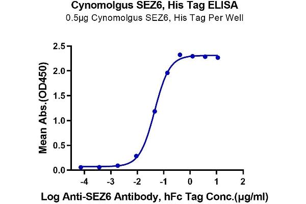 SEZ6 Protein (AA 20-927) (His tag)