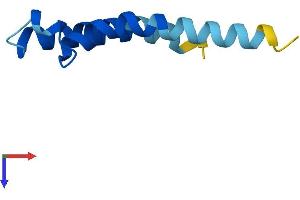 PIGY Protein (AA 1-71) (Fc Tag)