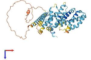 MEI4 Protein (AA 1-385) (His tag)