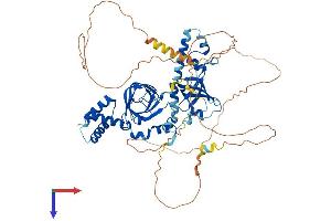 RMI1 Protein (AA 1-625) (His tag)