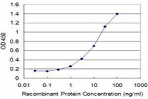 Detection limit for recombinant GST tagged SNAP29 is approximately 0. (SNAP29 Antikörper  (AA 1-258))