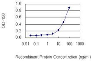 Detection limit for recombinant GST tagged ACTG1 is 1 ng/ml as a capture antibody. (Actin, gamma 1 Antikörper  (AA 1-375))