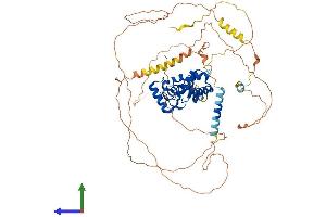 Protein Structure (PS) image for V-Myb Myeloblastosis Viral Oncogene Homolog (Avian) (MYB) (AA 1-640) protein (His tag) (ABIN7549656)