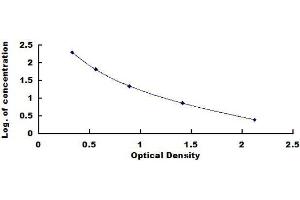 Intrinsic Factor ELISA Kit