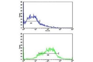 Flow Cytometry (FACS) image for anti-Ephrin Type A Receptor 1 (EPHA1) (AA 29-60) antibody (ABIN3030830)