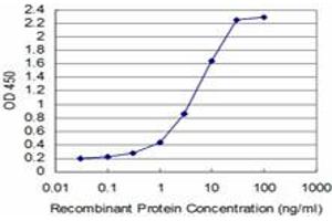 Detection limit for recombinant GST tagged SYN1 is approximately 0. (SYN1 Antikörper  (AA 362-450))
