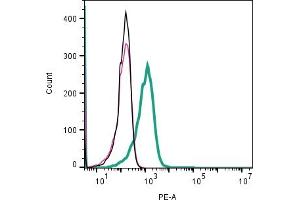 Cell surface detection of KCa3.