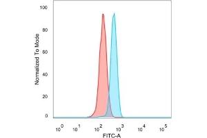 Flow cytometric analysis of PFA-fixed HeLa cells. (MEF2B Antikörper)
