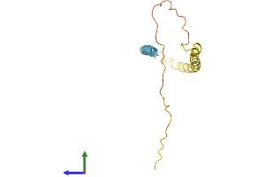 Protein Structure (PS) image for Synuclein, beta (SNCB) (AA 1-134) protein (His tag) (ABIN7544121)