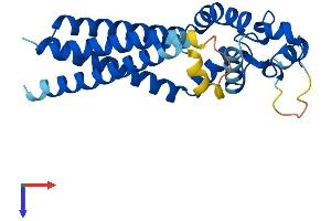 TSPAN1 Protein (AA 1-241) (His tag)
