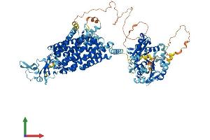 AlphaFold protein structure predicition of Human Recombinant SLC12A4 Protein, UniprotID Q9UP95