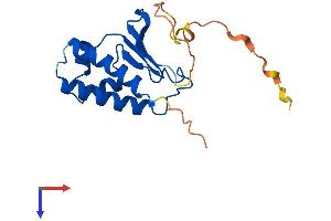 BTG1 Protein (AA 1-171) (His tag)