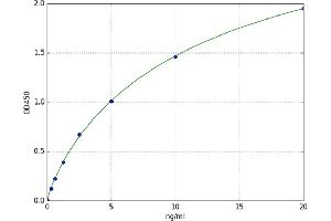 A typical standard curve (beta Actin ELISA Kit)