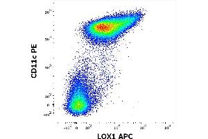 Flow cytometry multicolor surface staining pattern of human stimulated (GM-CSF + IL-4) peripheral blood mononuclear cells using anti-LOX1 (15C4) APC antibody (10 μL reagent / 100 μL of peripheral whole blood) and anti-human CD11c (BU15) PE antibody (20 μL reagent / 100 μL of peripheral whole blood). (OLR1 Antikörper  (APC))