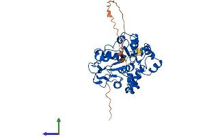 Protein Structure (PS) image for ST6 (Alpha-N-Acetyl-Neuraminyl-2,3-beta-Galactosyl-1,3)-N-Acetylgalactosaminide alpha-2,6-Sialyltransferase 2 (ST6GALNAC2) (AA 1-373) protein (His tag) (ABIN7556683)