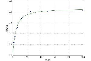 A typical standard curve