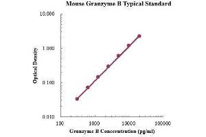 ELISA image for Granzyme B (GZMB) ELISA Kit (ABIN3198431)
