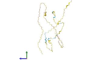 AlphaFold protein structure predicition of Mouse Recombinant Prr32 Protein, UniprotID A2AFE9