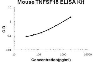 Mouse TNFSF18/GITRL PicoKine ELISA Kit standard curve (TNFSF18 ELISA Kit)