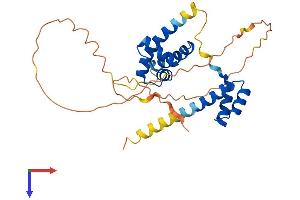 POU1F1 Protein (AA 1-291) (His tag)