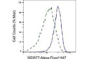 Flow cytometric analysis of WDR77 expression in HeLa cells using WDR77 antibody (ABIN7800856), 1:2,000). (WDR77 Antikörper)