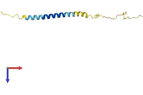LST1 Protein (AA 1-95) (His tag)