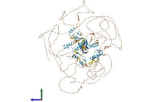 AlphaFold protein structure predicition of Mouse Recombinant Zfpm2 Protein, UniprotID Q8CCH7