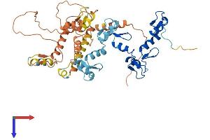 ZNF561 Protein (AA 1-486) (His tag)
