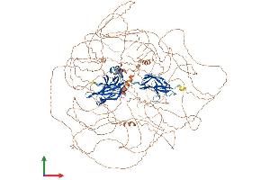 Protein Structure (PS) image for Nuclear Factor of Activated T-Cells 5, Tonicity-Responsive (NFAT5) (AA 1-1534) protein (His tag) (ABIN7565228)