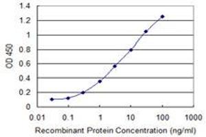 Detection limit for recombinant GST tagged PCDH10 is 0. (PCDH10 Antikörper  (AA 18-127))