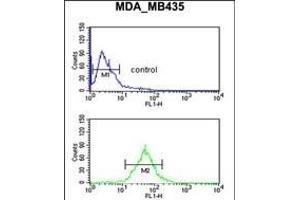 Flow Cytometry (FACS) image for anti-TCF3 (E2A) Fusion Partner (In Childhood Leukemia) (TFPT) (AA 60-88), (N-Term) antibody (ABIN653252)