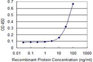Detection limit for recombinant GST tagged EOMES is 3 ng/ml as a capture antibody. (EOMES Antikörper  (AA 461-569))