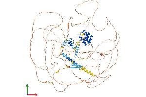 AlphaFold protein structure predicition of Human Recombinant PHC3 Protein, UniprotID Q8NDX5 (PHC3 Protein (AA 1-983) (His tag))