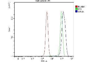 Flow Cytometry analysis of 293T cells using anti-mSin3A/SIN3A antibody (ABIN7602504). (SIN3A Antikörper  (AA 8-918))