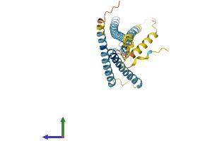 Protein Structure (PS) image for Lysosomal Protein Transmembrane 5 (LAPTM5) (AA 1-261) protein (His tag) (ABIN7557675)
