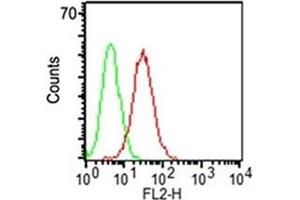 Surface flow cytometric analysis of CD34 on KG-1 cells using CD34 antibody (ICO-115, red) and isotype control antibody (green). (CD34 Antikörper)