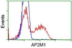 HEK293T cells transfected with either RC201377 overexpress plasmid (Red) or empty vector control plasmid (Blue) were immunostained by anti-AP2M1 antibody (ABIN2454657), and then analyzed by flow cytometry. (AP2M1 Antikörper  (AA 97-383))